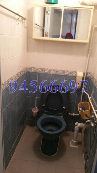 Blk 23A Queen's Close (Queenstown), HDB 3 Rooms #129948032
